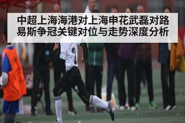 中超上海海港对上海申花武磊对路易斯争冠关键对位与走势深度分析